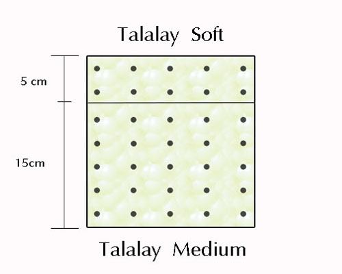 Lattice Talalay Soft